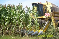 /album/quaresrl/immagine-767-jpg/